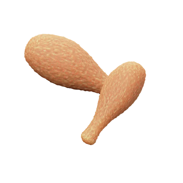 Chicken Drumsticks 3D icon, view 1