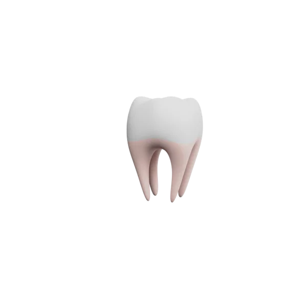 Tooth 3D icon, view 3