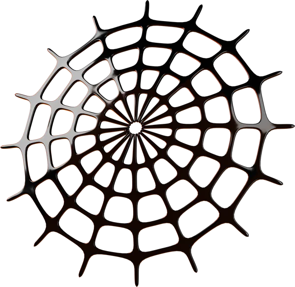 Spider Web 3D icon, view 2