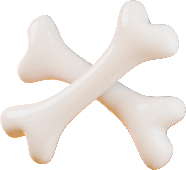 Bone 3D icon, view 2