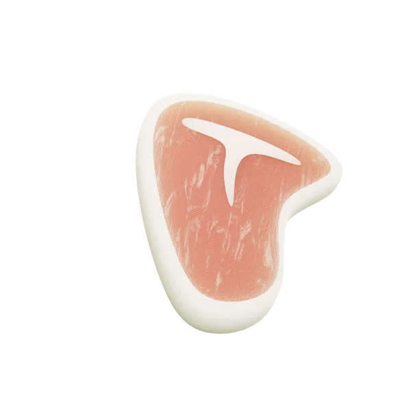 T Bone Steak 3D icon, view 3