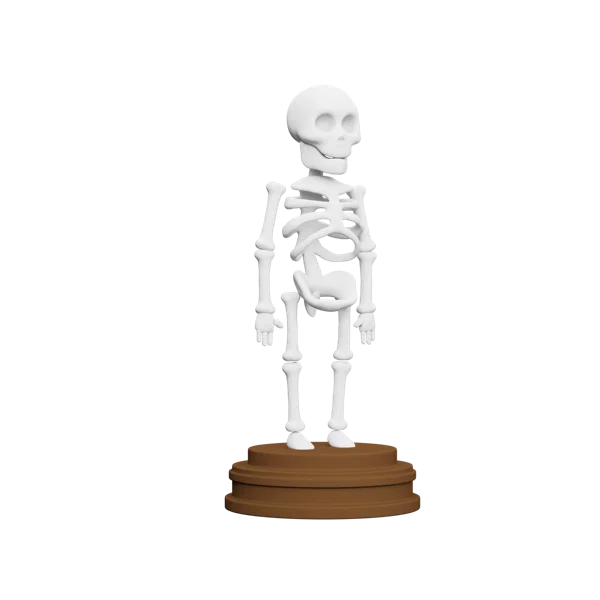 Skeleton 3D icon, view 3