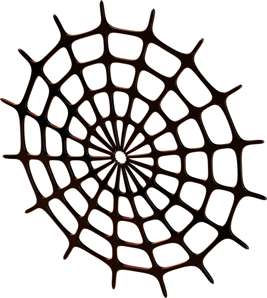 Spider Web 3D icon, view 5