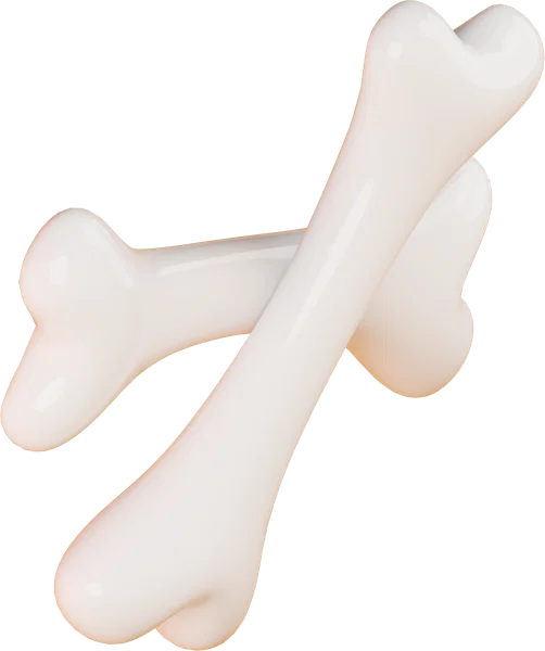 Bone 3D icon, view 4