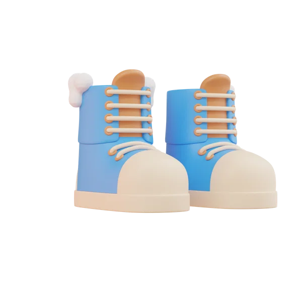 Shoe 3D icon, view 3
