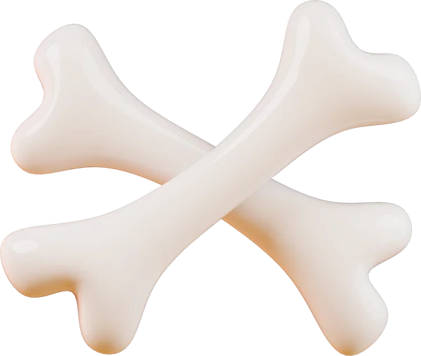 Bone 3D icon, view 1