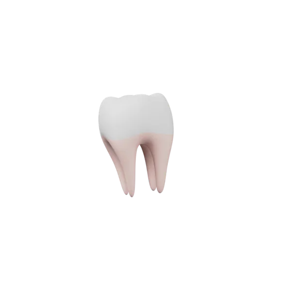 Tooth 3D icon, view 2