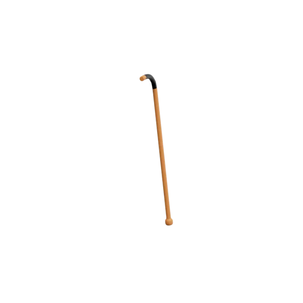 Walking Cane 3D icon, view 3