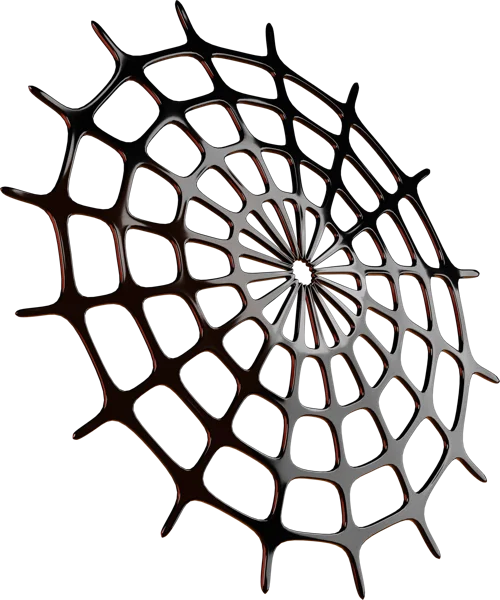 Spider Web 3D icon, view 3