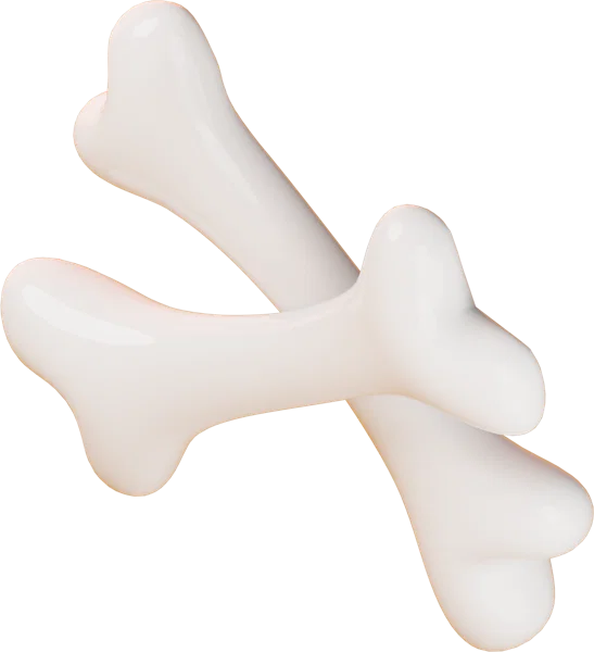 Bone 3D icon, view 5