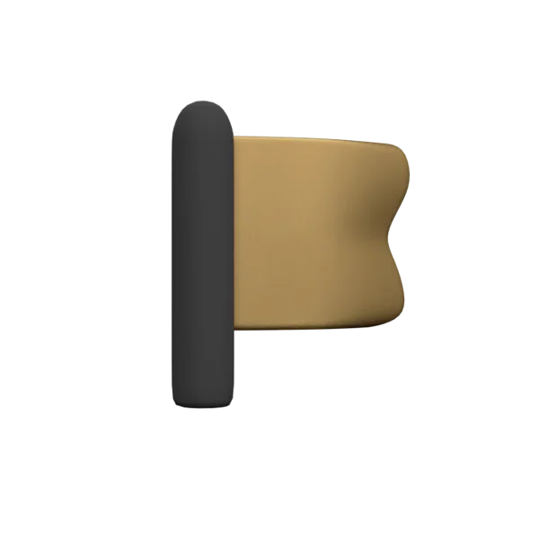 Flag 3D icon, view 3