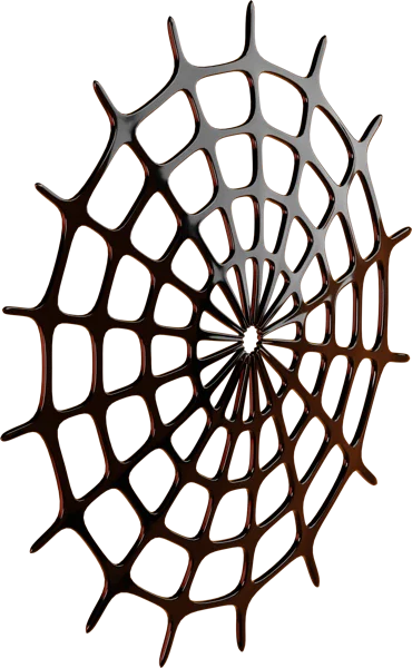 Spider Web 3D icon, view 4