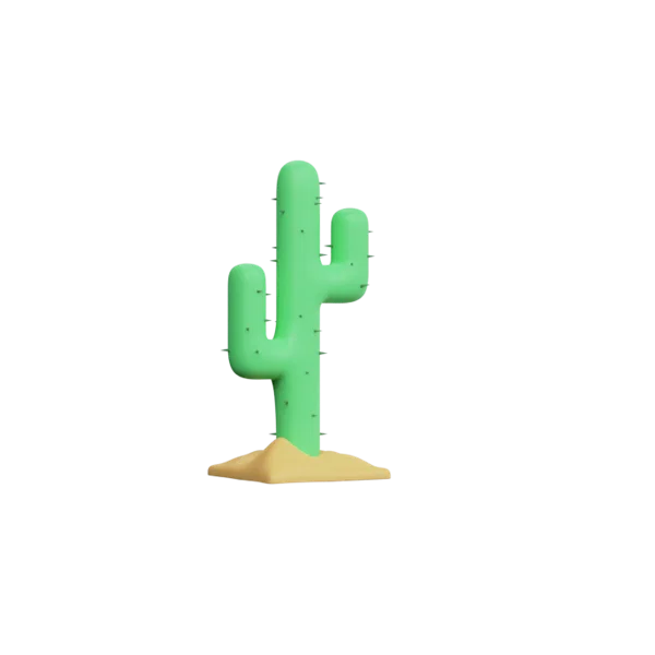 Cactus 3D icon, view 3
