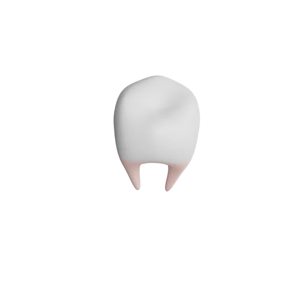 Tooth 3D icon, view 4
