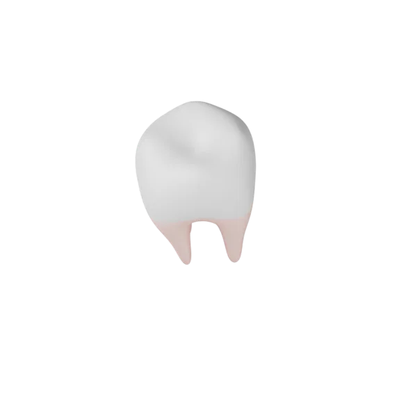 Tooth 3D icon, view 5