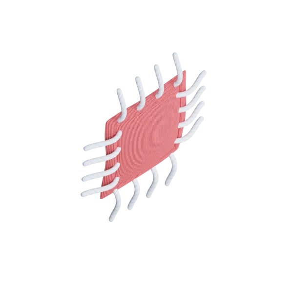 Cloth Patch 3D icon, view 4