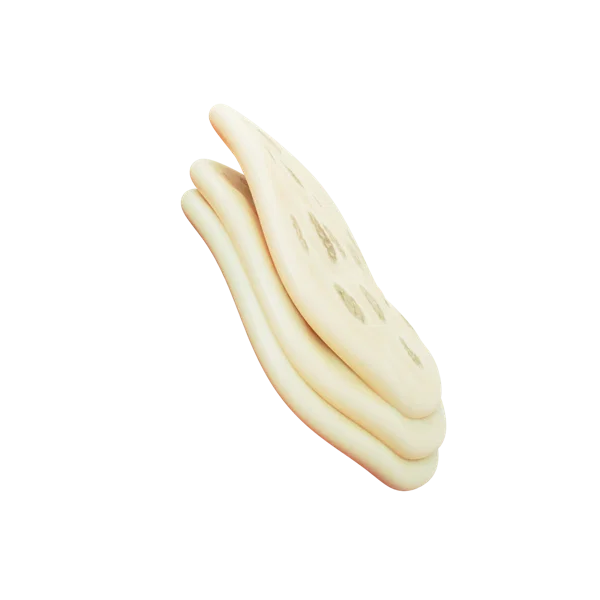 Naan 3D icon, view 3