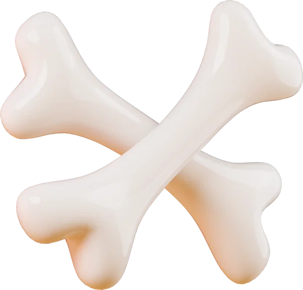 Bone 3D icon, view 3