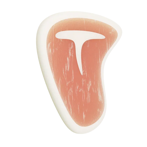 T Bone Steak 3D icon, view 4