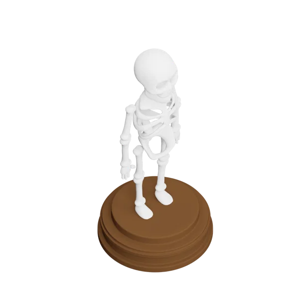Skeleton 3D icon, view 4
