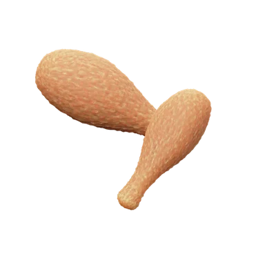 Chicken Drumsticks 3D icon, view 1