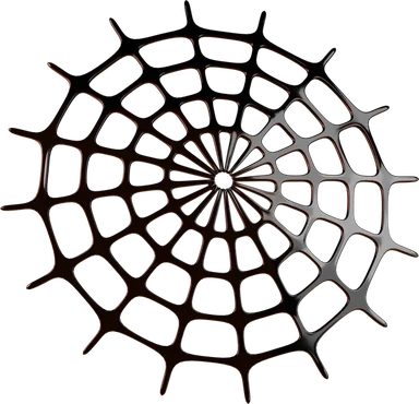 Spider Web 3D icon, view 1