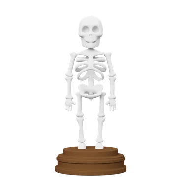 Skeleton 3D icon, view 1